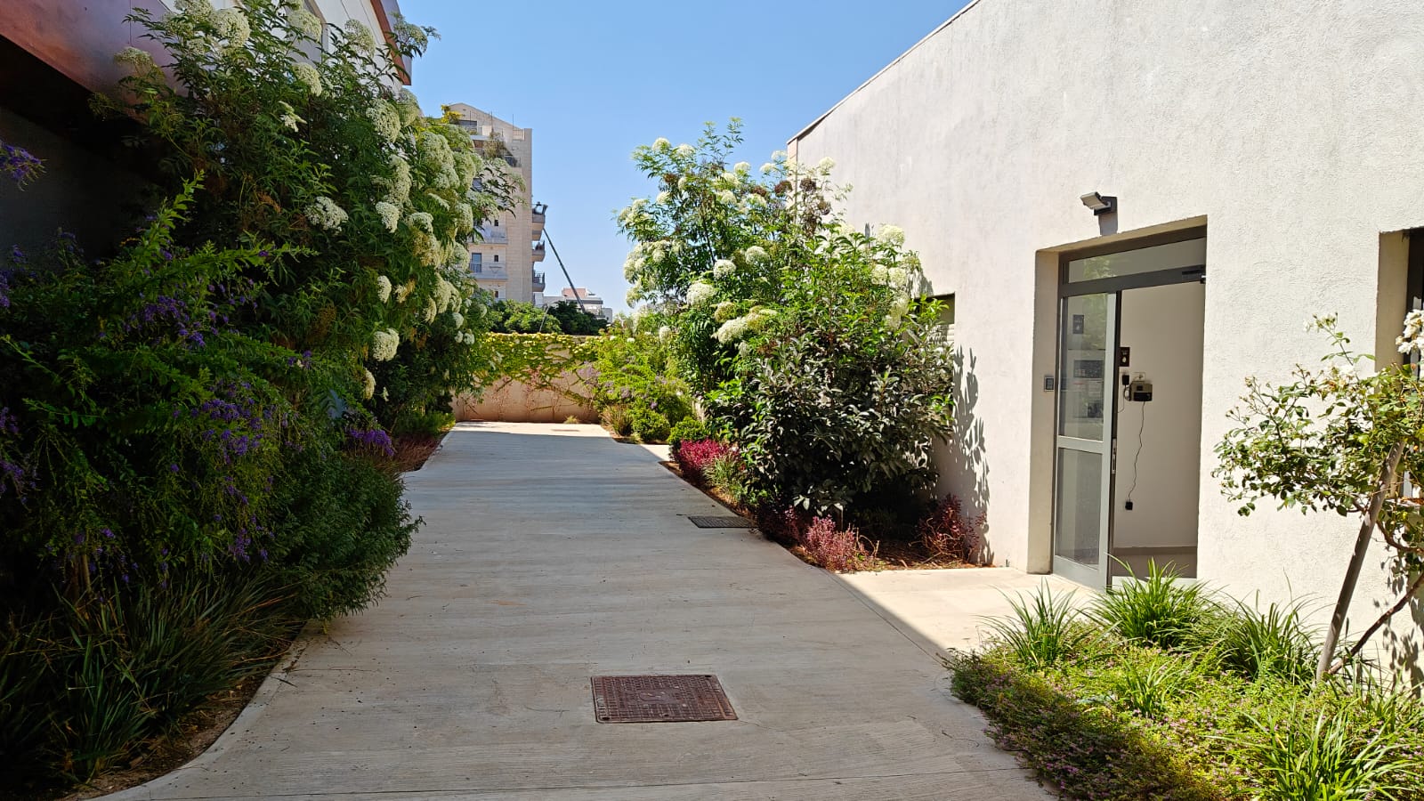 תמונה הוסטל 5